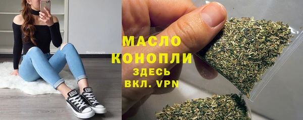 твердый Надым