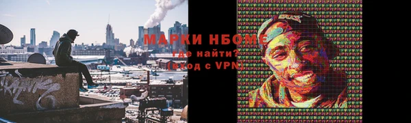 твердый Надым